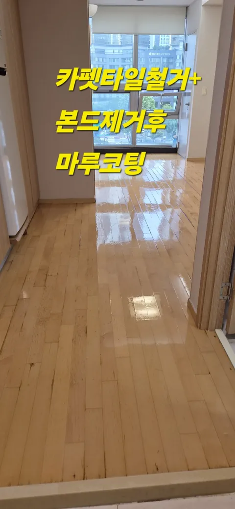 카펫타일 철거 후 마루 본드 제거, 마루 코팅까지